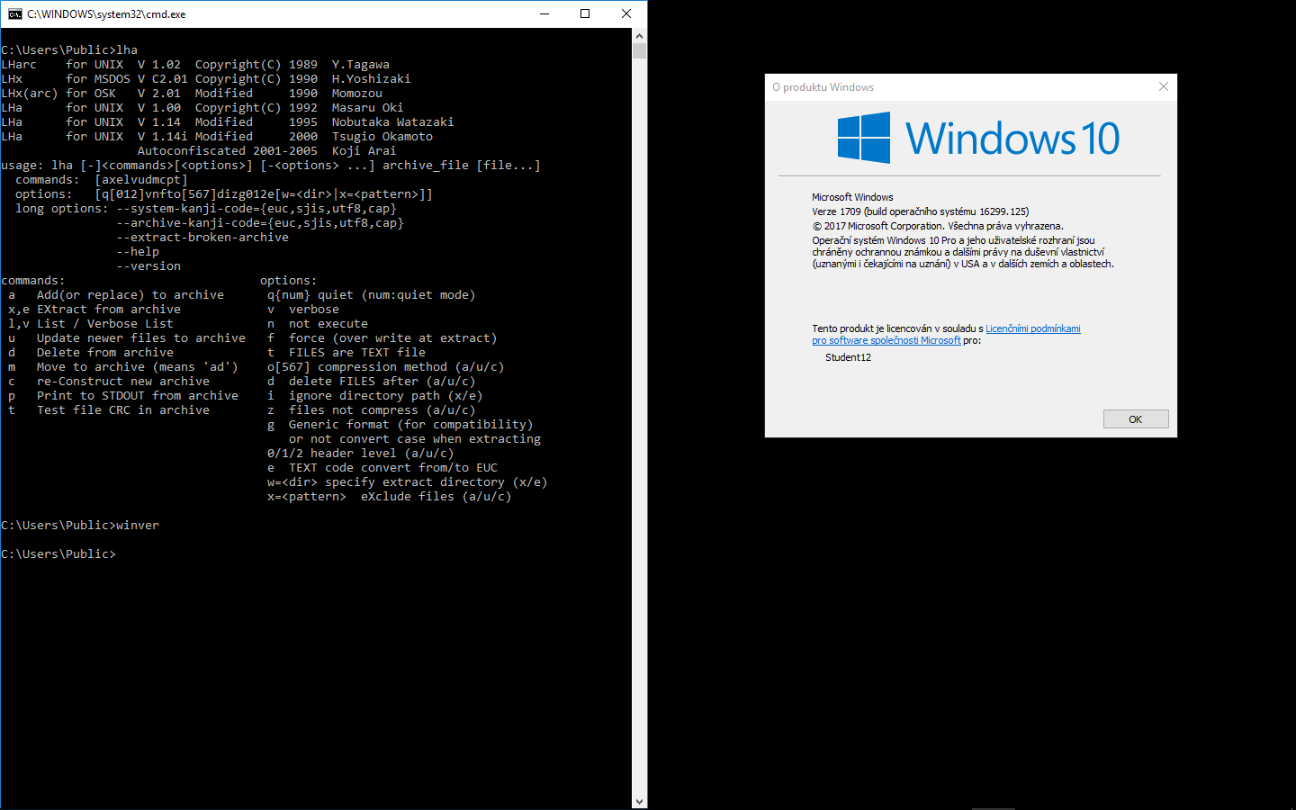 Použití Lha ve Windows 10.