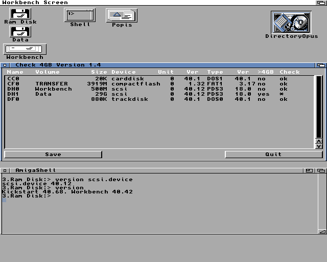Check4GB amiga