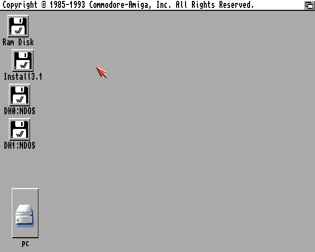 Workbench 3.1 - disky před naformátováním