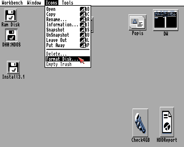 Amiga Disk Format Workbench 3.1