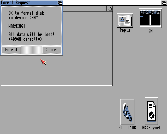 Amiga Disk Format Workbench 3.1