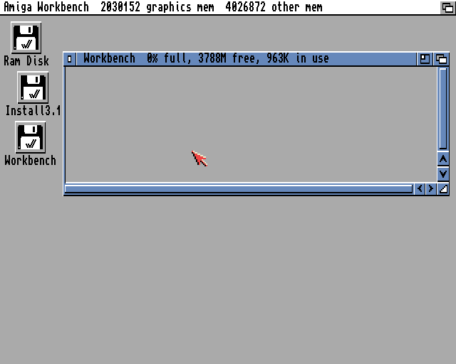 Amiga disk in Workbench 3.1